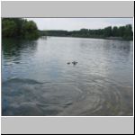 2010-07-04 - 13-57-34.JPG